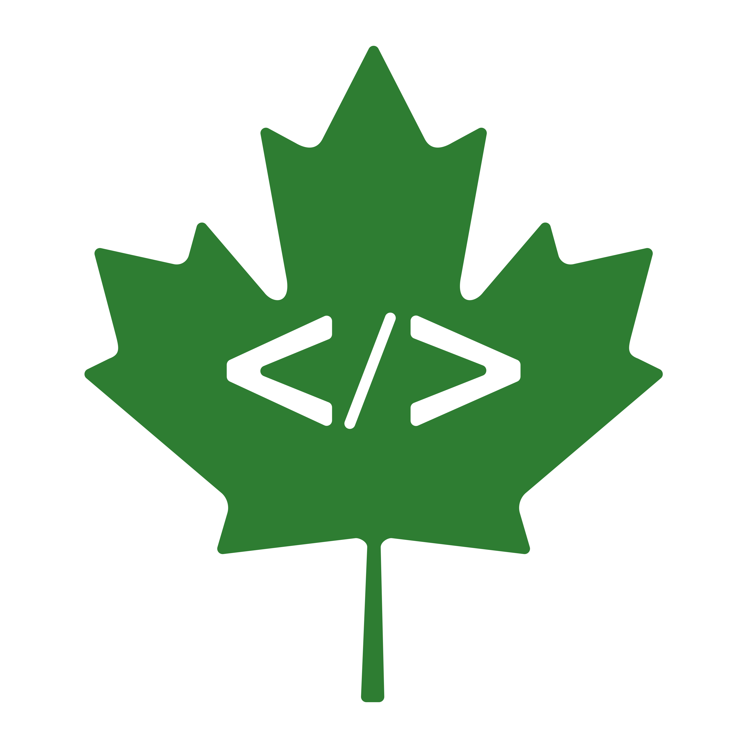 Canadian Coding logo